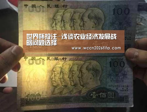世界杯投注-浅谈农业经济发展战略问题选择(图2) 世界杯投注