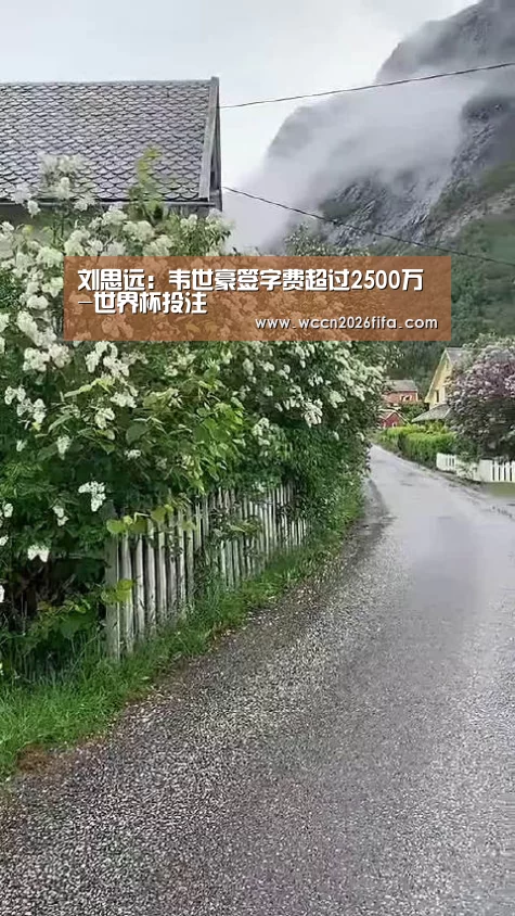刘思远:韦世豪签字费超过2500万-世界杯投注(图1) 世界杯投注