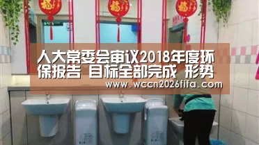 人大常委会审议2018年度环保报告 目标全部完成 形势依然严峻_世界杯投注(图4) 世界杯投注