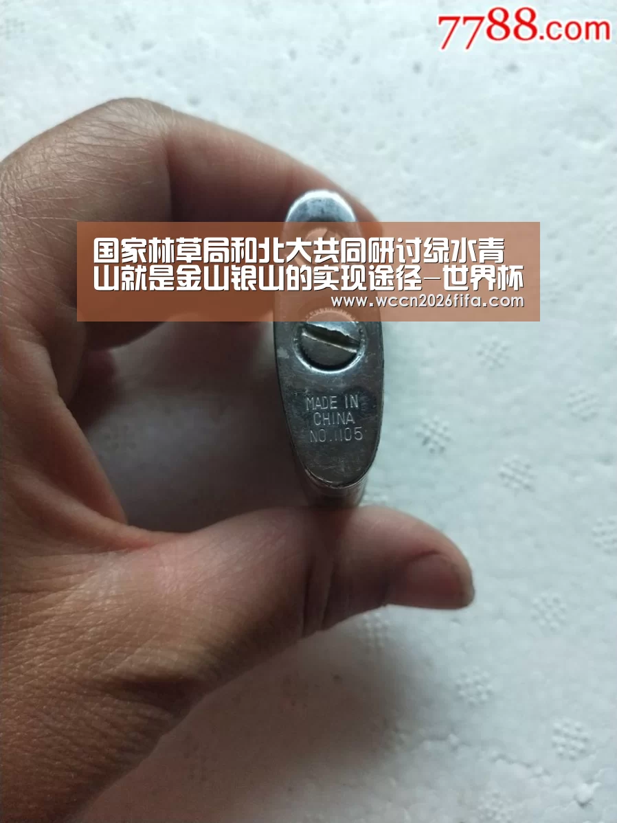 世界杯投注