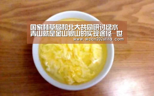 世界杯投注