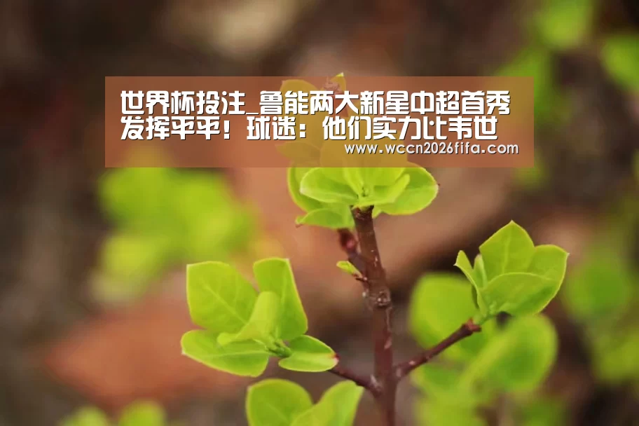 世界杯投注_鲁能两大新星中超首秀发挥平平！球迷：他们实力比韦世豪差远了