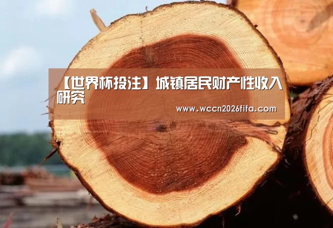 【世界杯投注】城镇居民财产性收入研究(图2) 世界杯投注