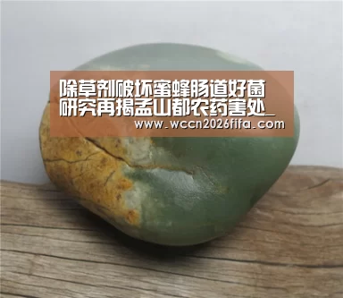 世界杯投注