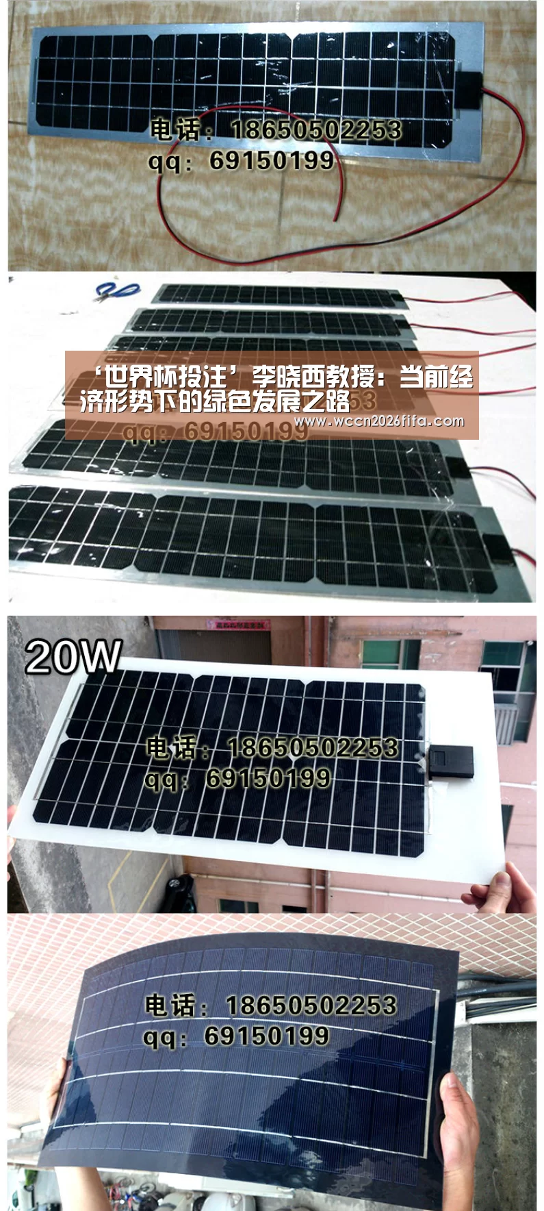 ‘世界杯投注’李晓西教授:当前经济形势下的绿色发展之路(图3) 世界杯投注