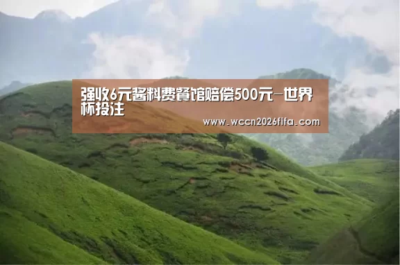 强收6元酱料费餐馆赔偿500元-世界杯投注(图1) 世界杯投注