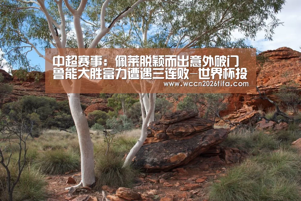 中超赛事:佩莱脱颖而出意外破门 鲁能大胜富力遭遇三连败-世界杯投注(图4) 世界杯投注