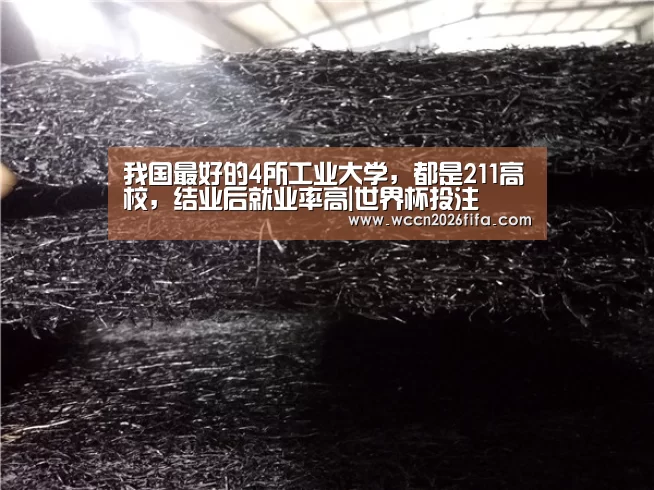 我国最好的4所工业大学,都是211高校,结业后就业率高|世界杯投注(图4) 世界杯投注