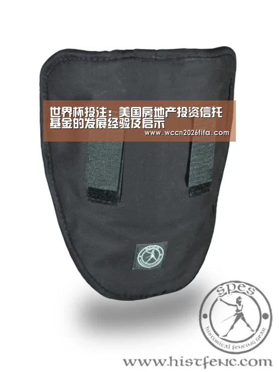 世界杯投注:美国房地产投资信托基金的发展经验及启示(图1) 世界杯投注