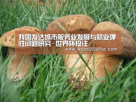 我国发达城市服务业发展与就业弹性问题研究-世界杯投注(图2) 世界杯投注