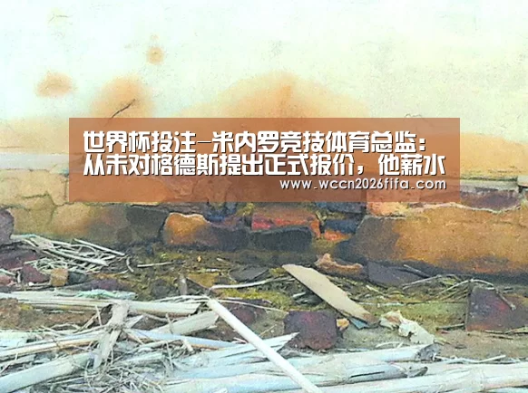 世界杯投注-米内罗竞技体育总监:从未对格德斯提出正式报价,他薪水太高(图1) 世界杯投注