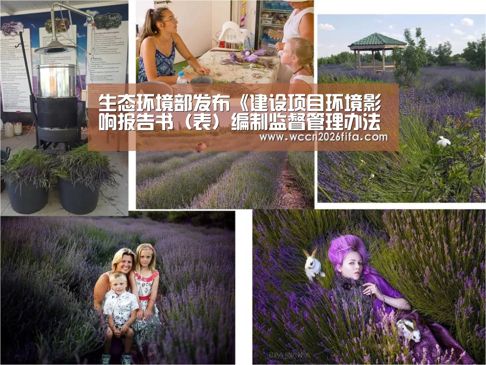 生态环境部发布《建设项目环境影响报告书(表)编制监督管理办法》:世界杯投注(图1) 世界杯投注