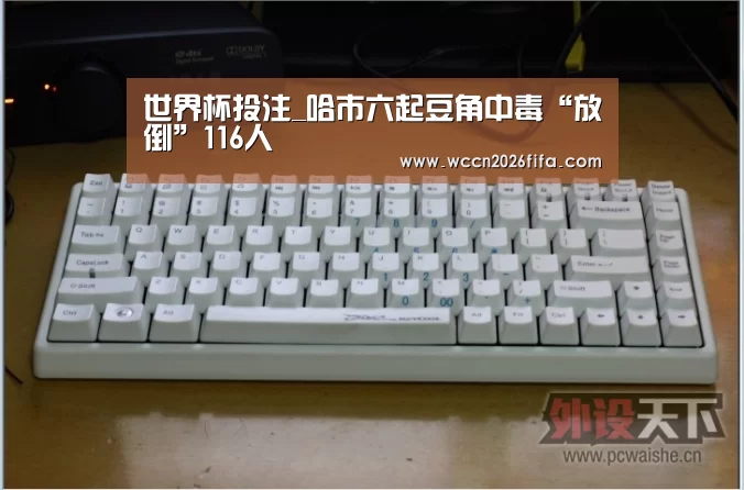 世界杯投注_哈市六起豆角中毒“放倒”116人(图1) 世界杯投注