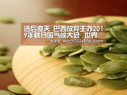 选后变天 巴西放弃主办2019年联合国气候大会-世界杯投注(图4) 世界杯投注