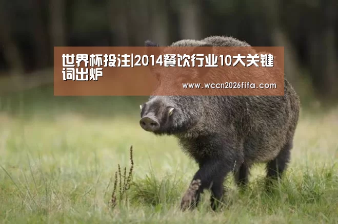世界杯投注|2014餐饮行业10大关键词出炉(图3) 世界杯投注