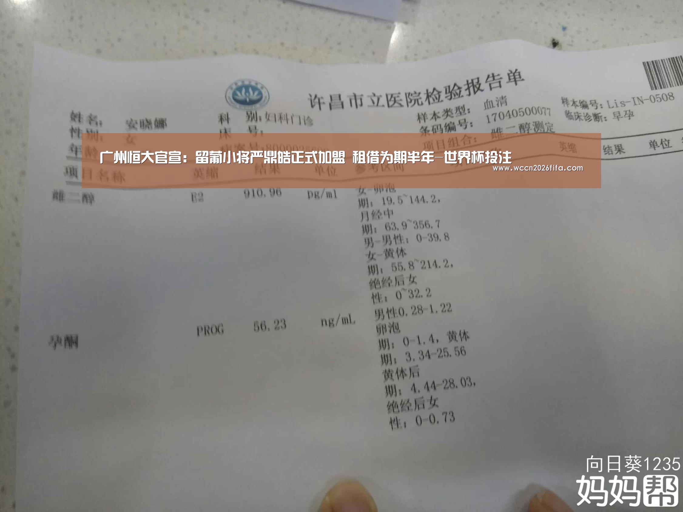 广州恒大官宣:留葡小将严鼎皓正式加盟 租借为期半年-世界杯投注(图3) 世界杯投注