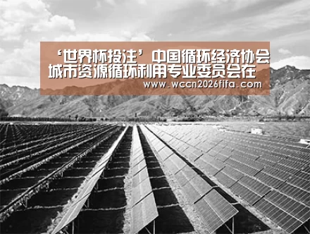 ‘世界杯投注’中国循环经济协会城市资源循环利用专业委员会在湖北荆门成立(图2) 世界杯投注