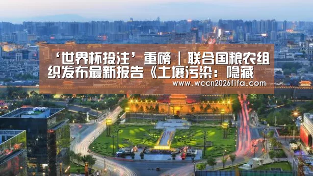 ‘世界杯投注’重磅 | 联合国粮农组织发布最新报告《土壤污染:隐藏的现实》:土壤污染对农业生产率、食品安全和人类健康构成的威胁令人不安(图1) 世界杯投注